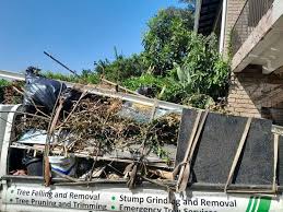 Professional Junk Removal in Livingston, TN